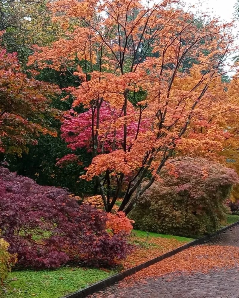 I Giardini d’Inverno
