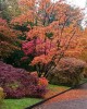 I Giardini d’Inverno – Giardini Botanici di Villa Taranto