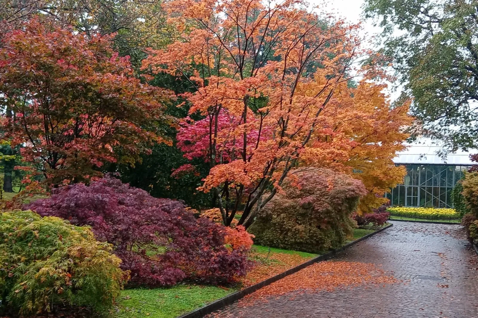 I Giardini d’Inverno